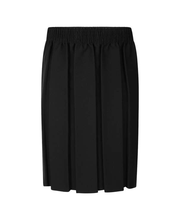 Box Pleat Skirt